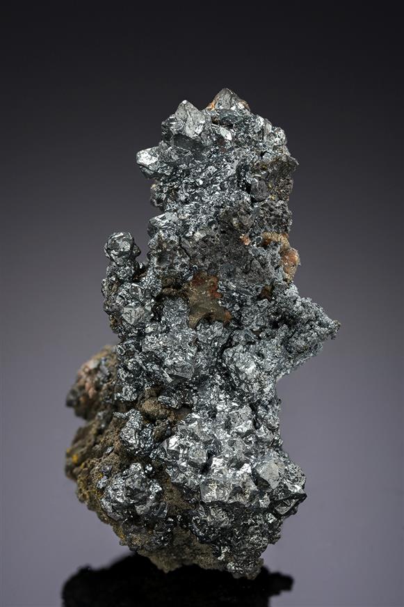 CC19747 specimen image