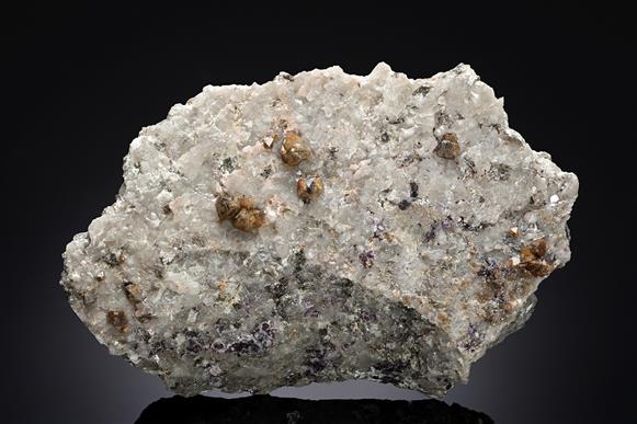 CC19750 specimen image