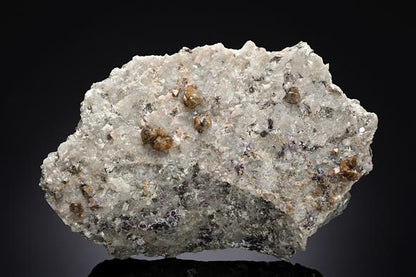 CC19750 specimen image