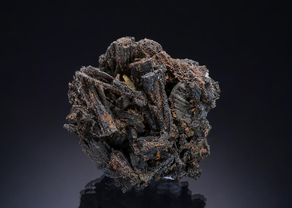 CC19751 specimen image