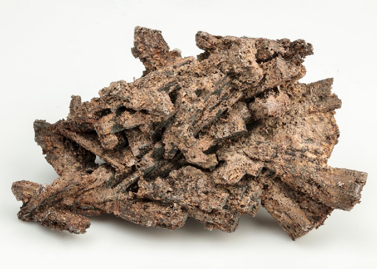 CC19752 specimen image