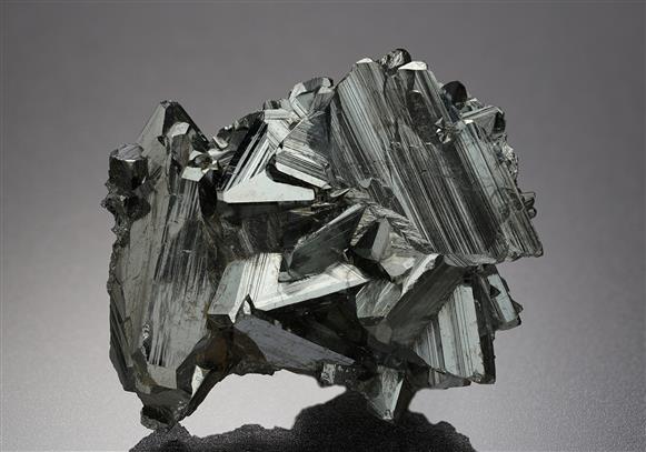 CC19759 specimen image