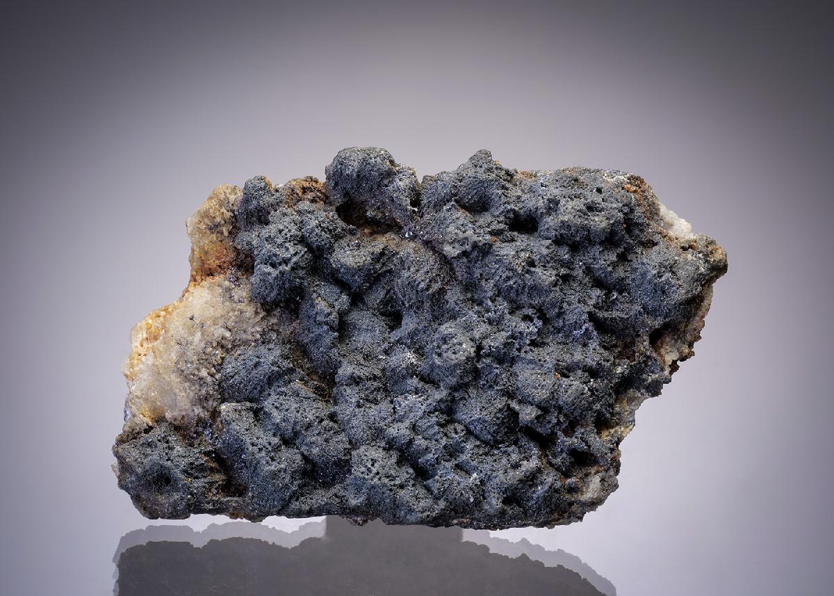 CC19767 specimen image