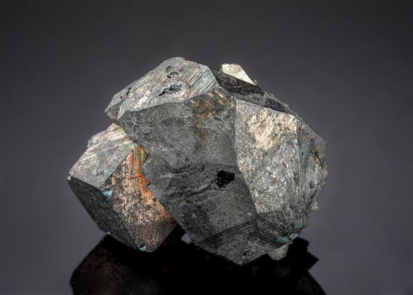 CC19771 specimen image