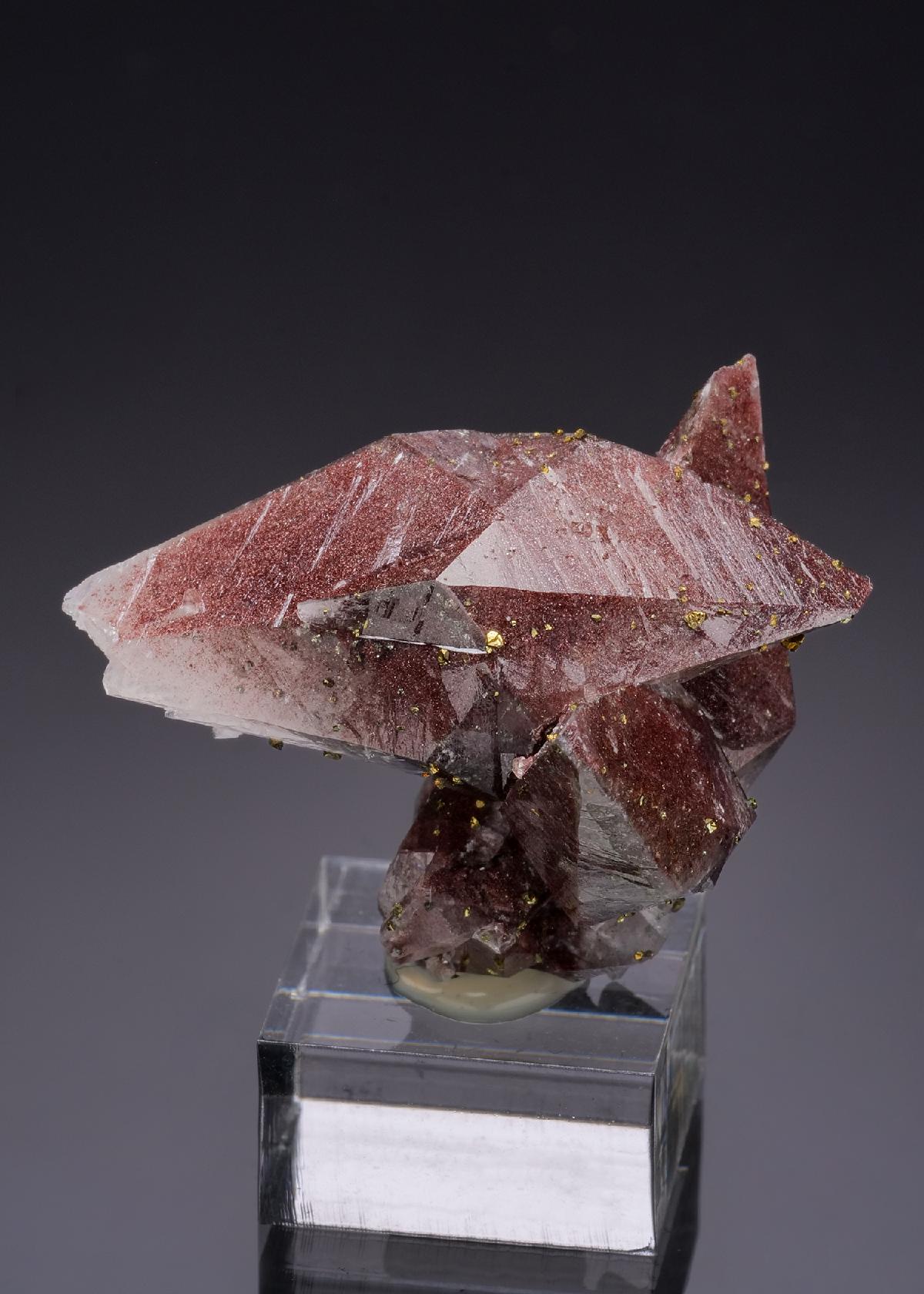 CC19778 specimen image