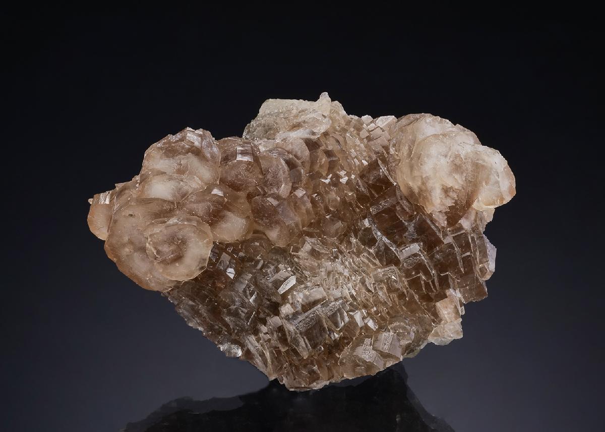 CC19785 specimen image