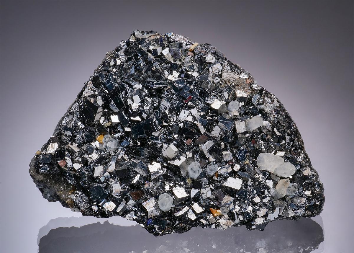 CC19796 specimen image