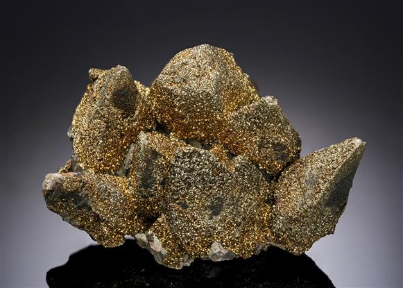 CC19800 specimen image