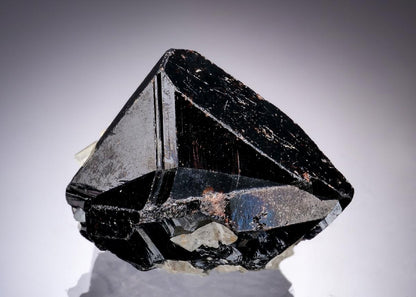 CC19802 specimen image