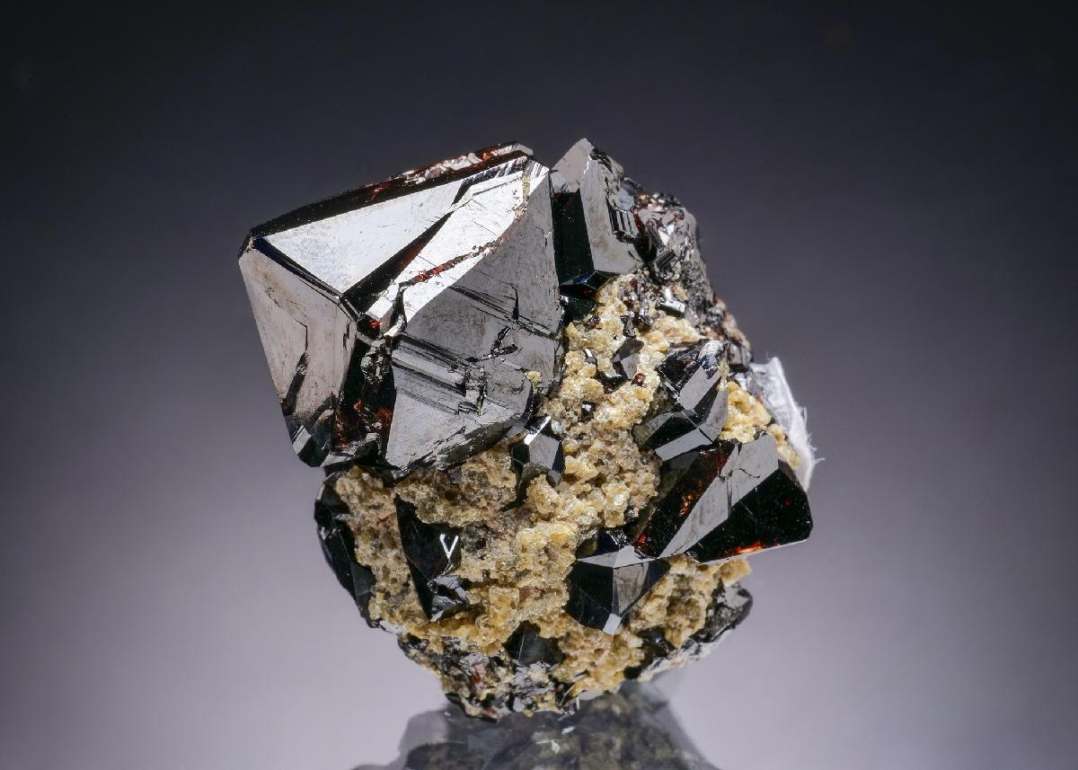 CC19805 specimen image