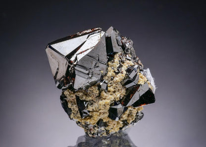 CC19805 specimen image