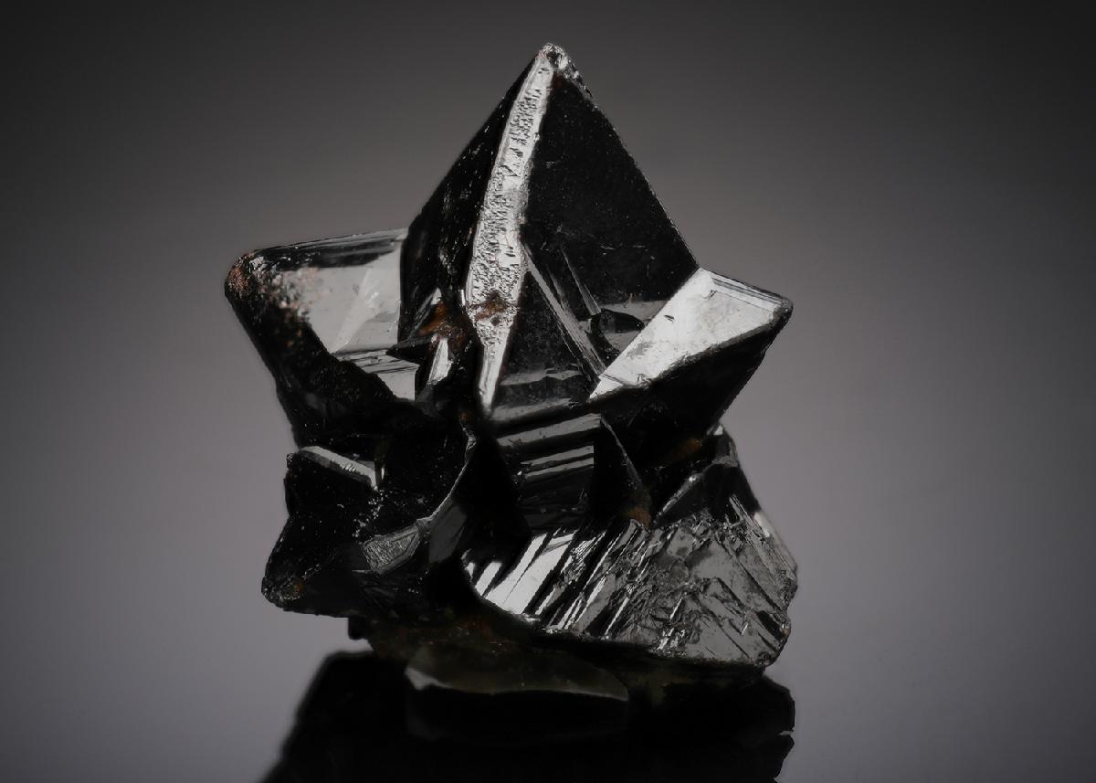 CC19806 specimen image