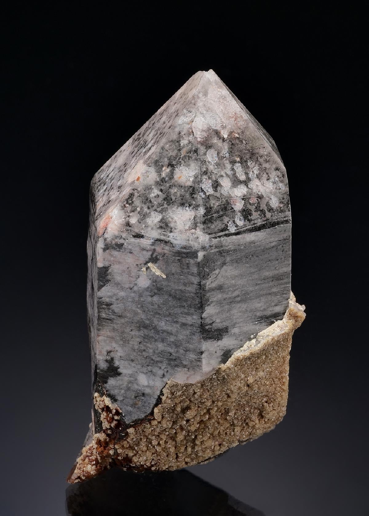 CC19808 specimen image