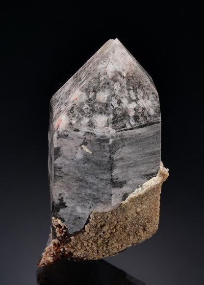 CC19808 specimen image
