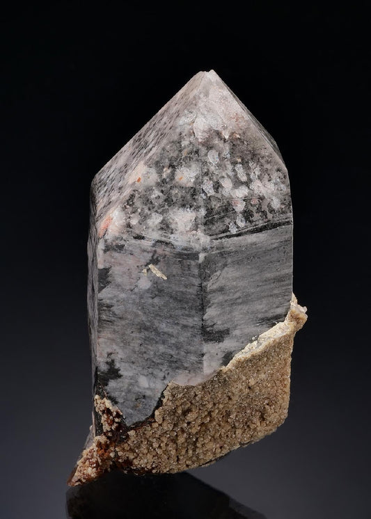 CC19808 specimen image