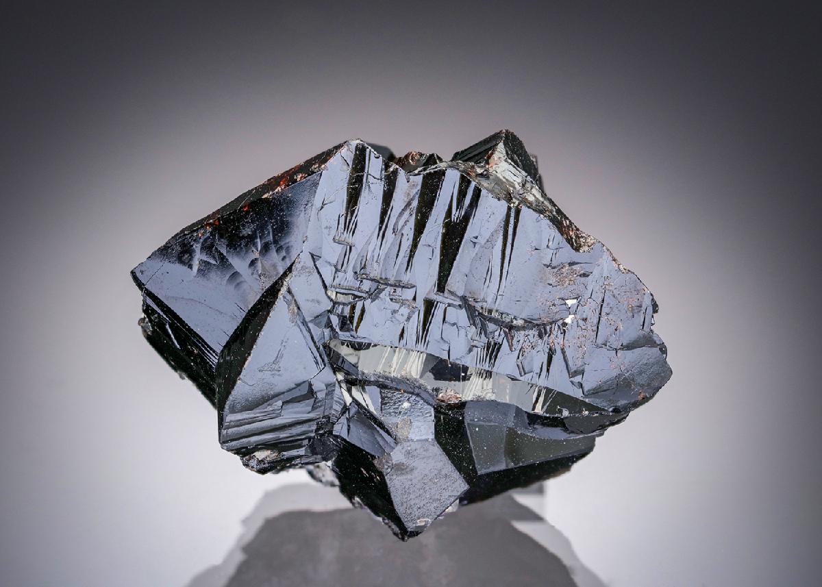 CC19815 specimen image