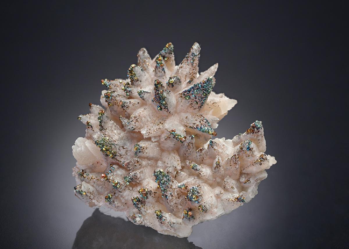 CC19821 specimen image