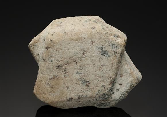 CC19840 specimen image
