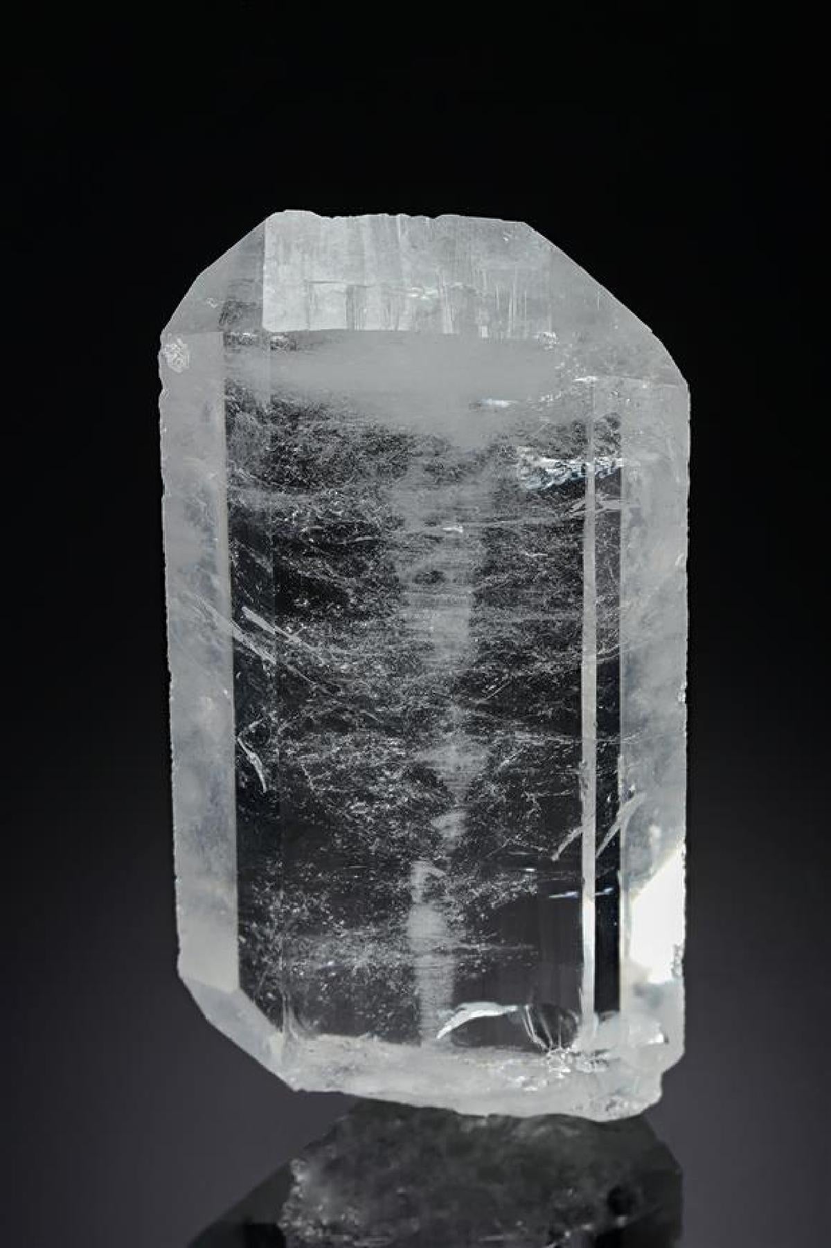 CC19841 specimen image