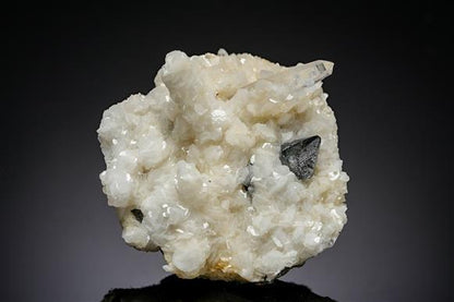 CC19845 specimen image