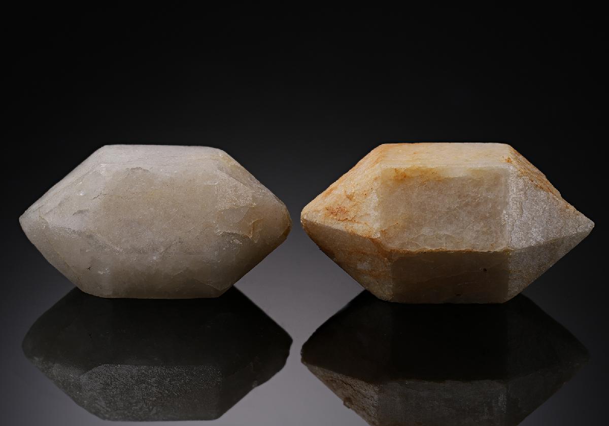 CC19850 specimen image