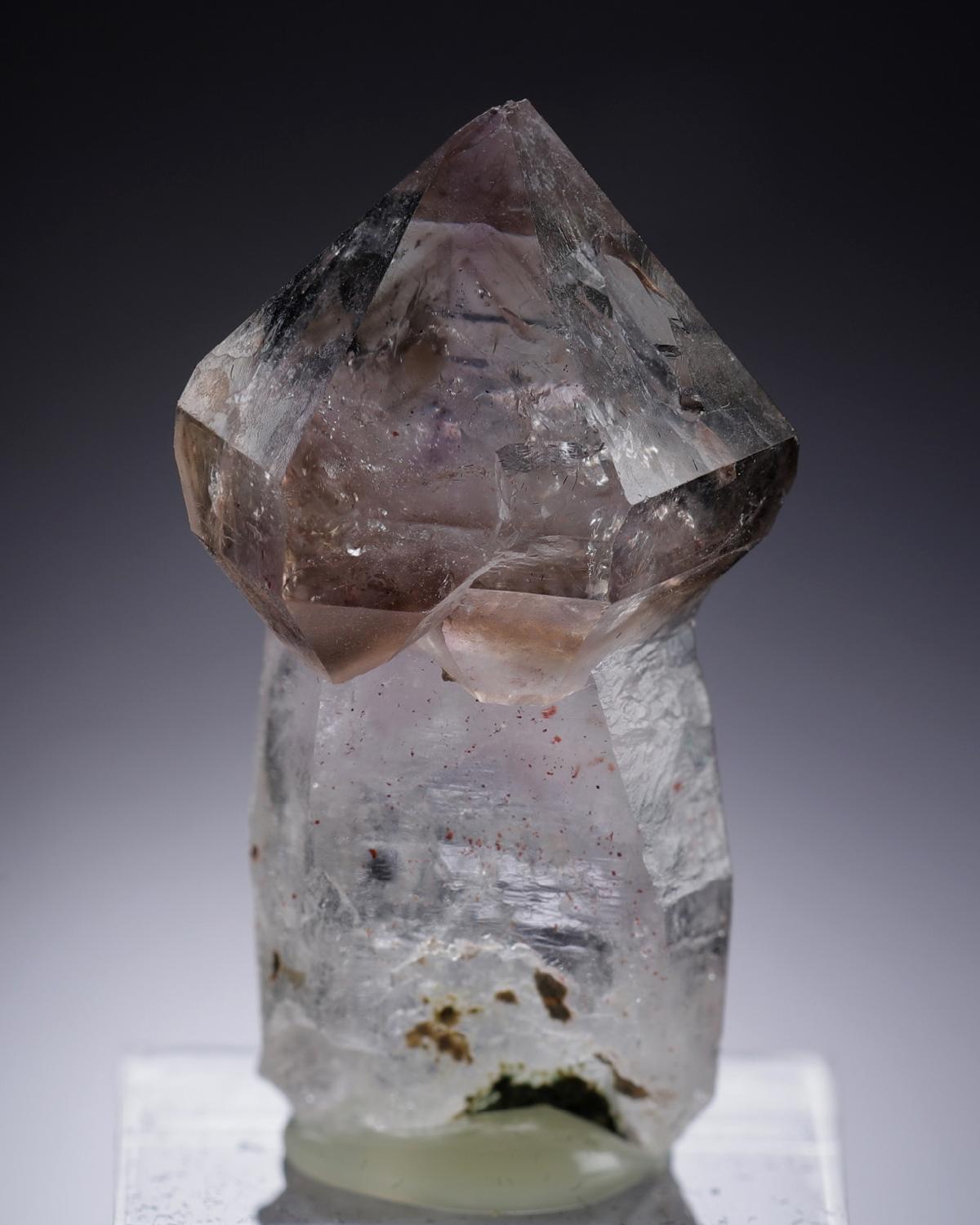 CC19857 specimen image
