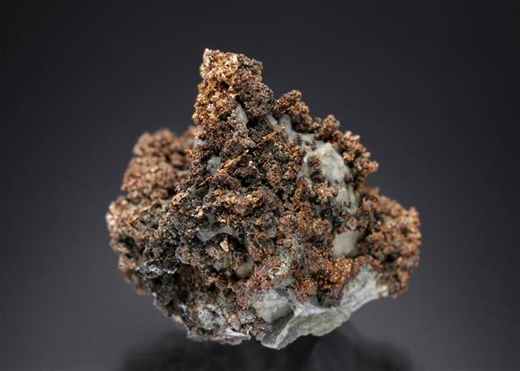 CC19866 specimen image