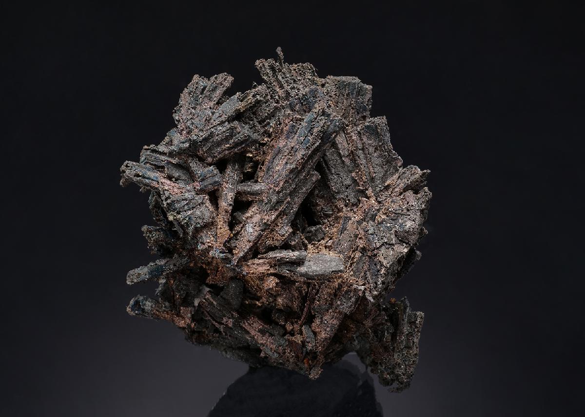 CC19885 specimen image