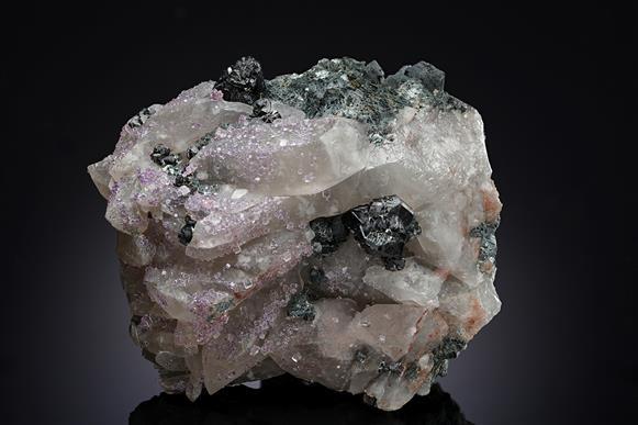 CC19892 specimen image