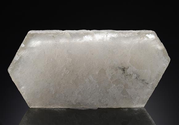 CC19897 specimen image
