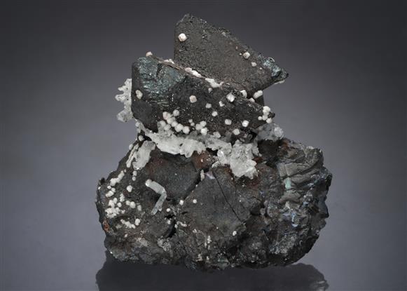 CC1990 specimen image