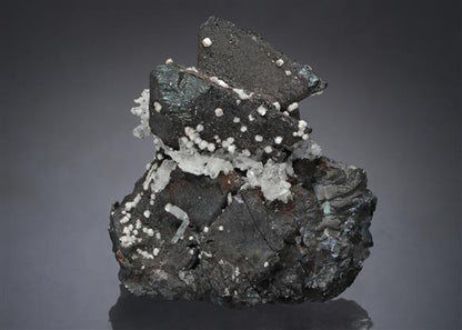 CC1990 specimen image