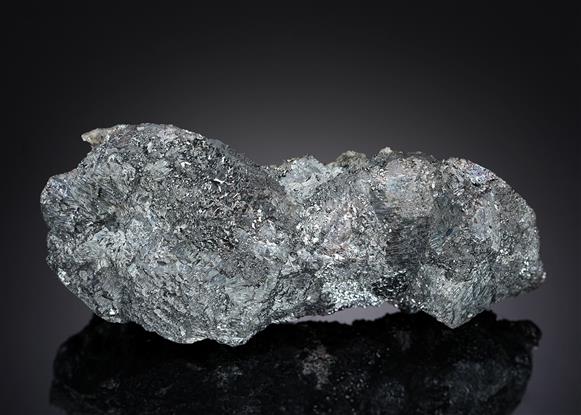 CC19945 specimen image
