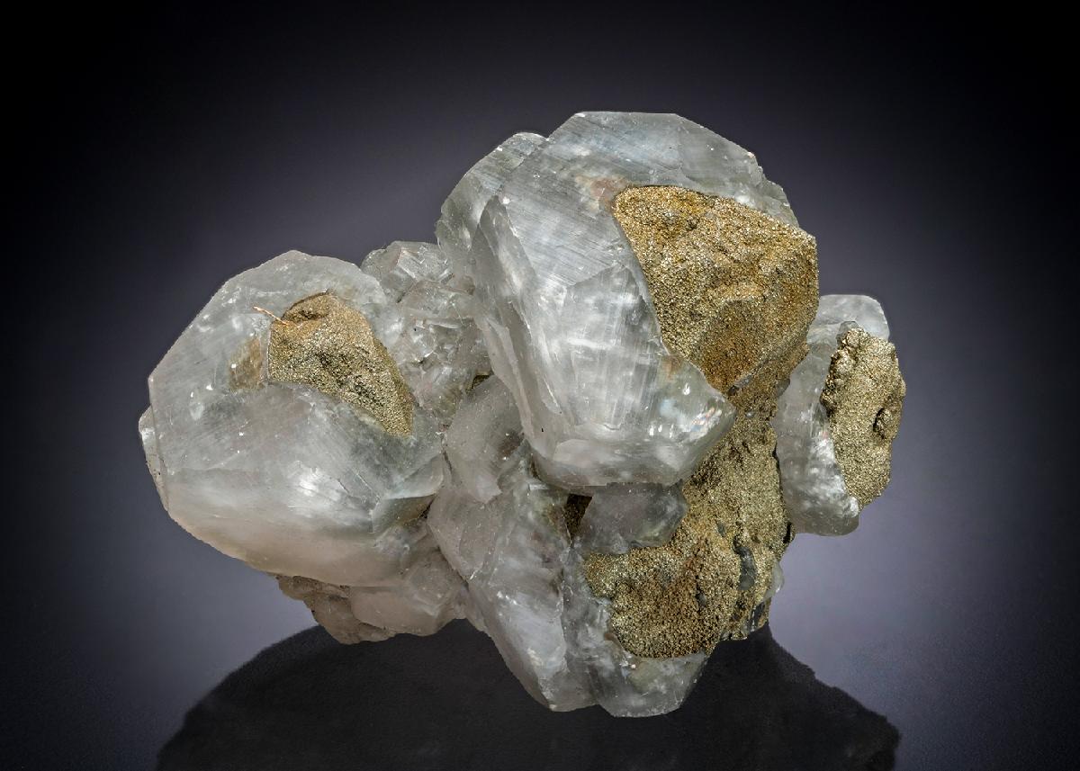 CC19948 specimen image