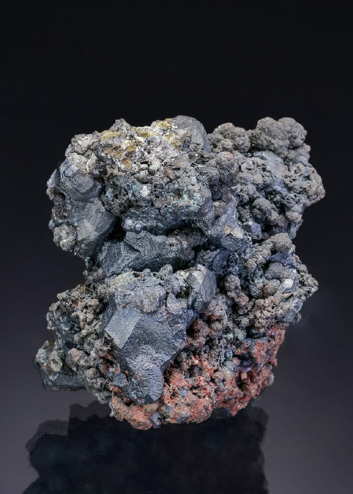 CC19957 specimen image