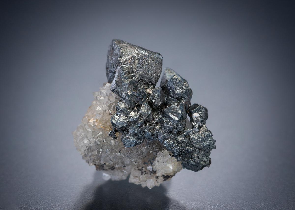 CC19962 specimen image