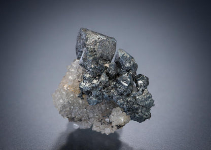 CC19962 specimen image