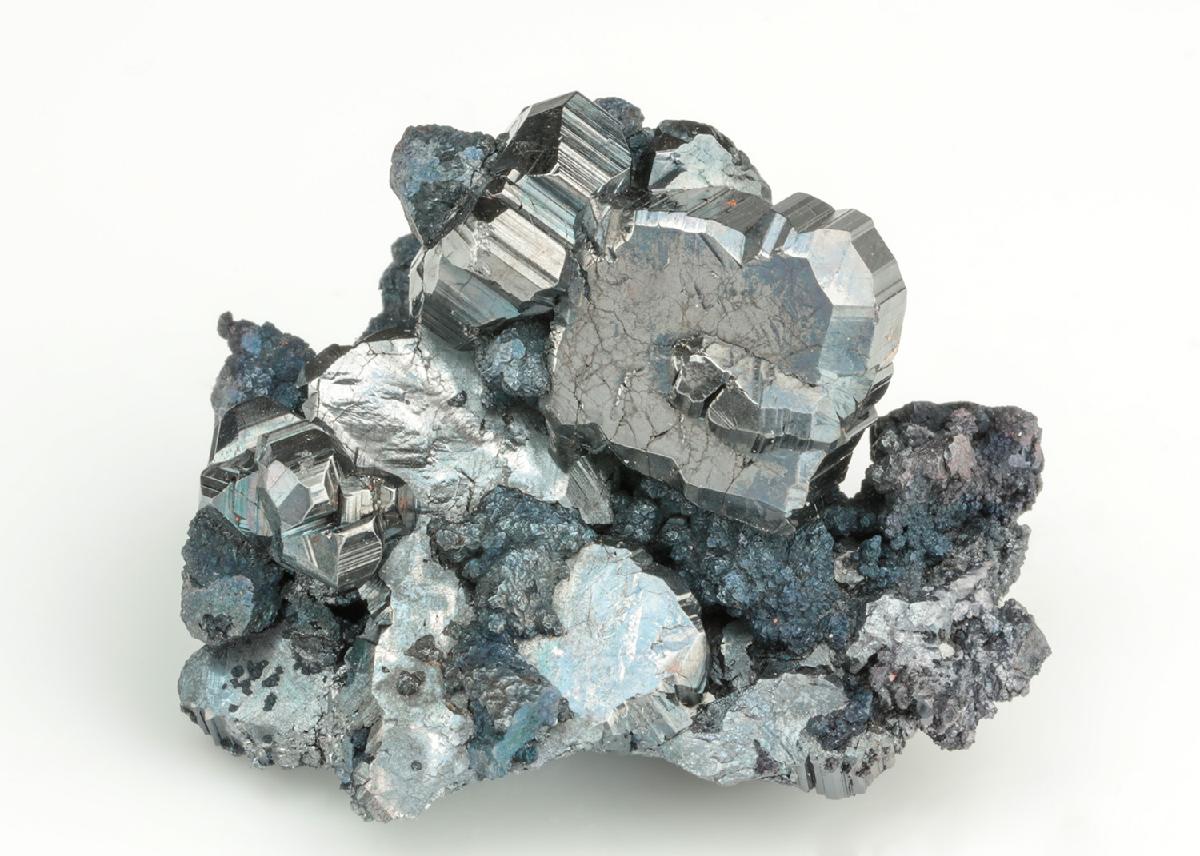 CC19965 specimen image