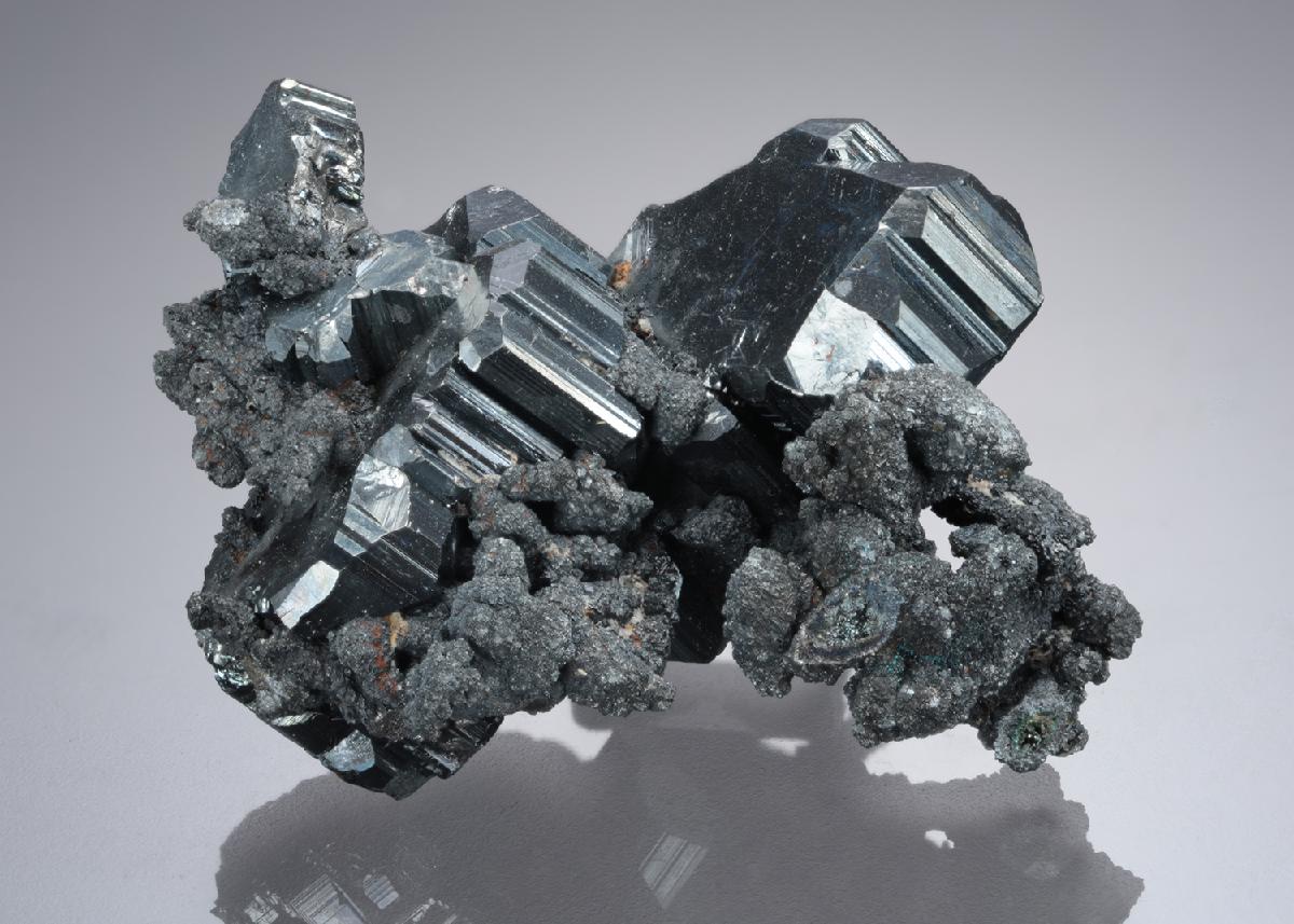 CC19966 specimen image