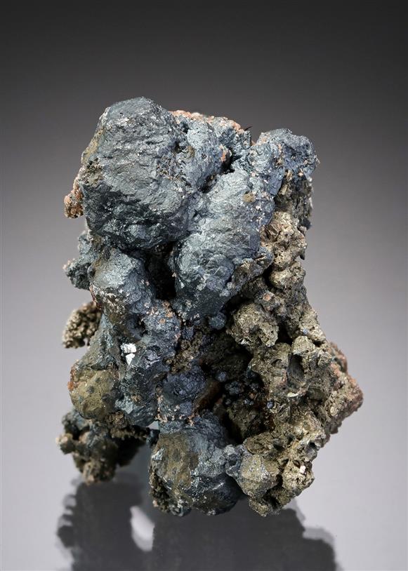 CC19979 specimen image