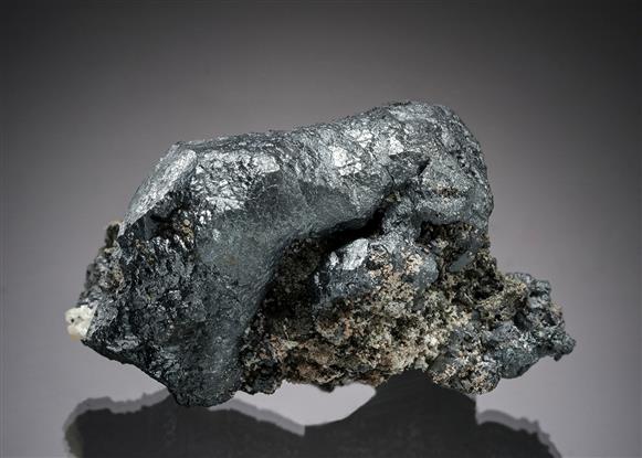 CC19980 specimen image