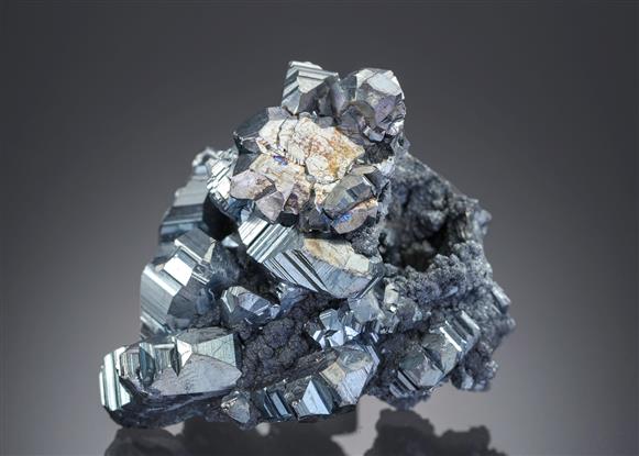 CC19983 specimen image