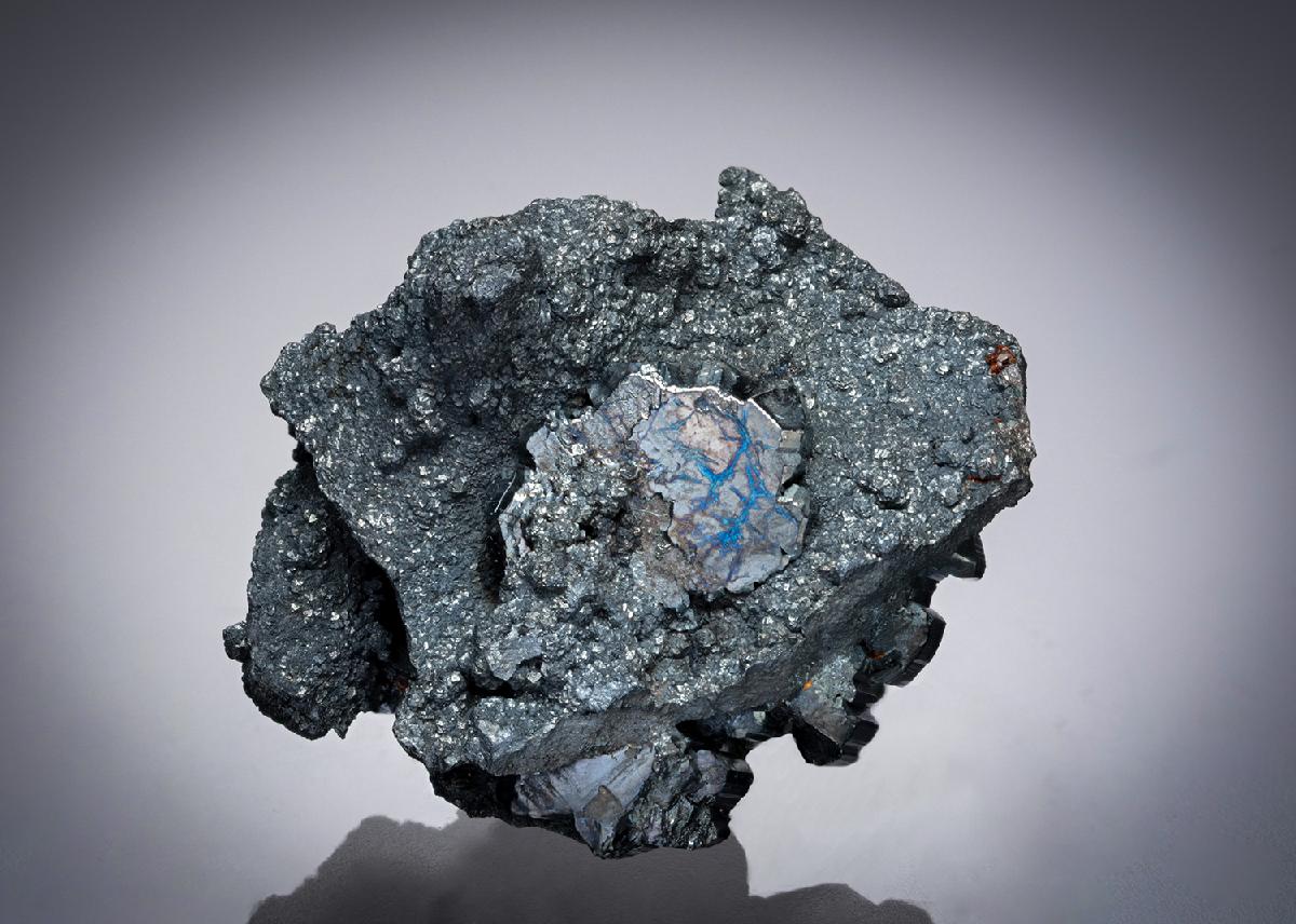 CC19984 specimen image