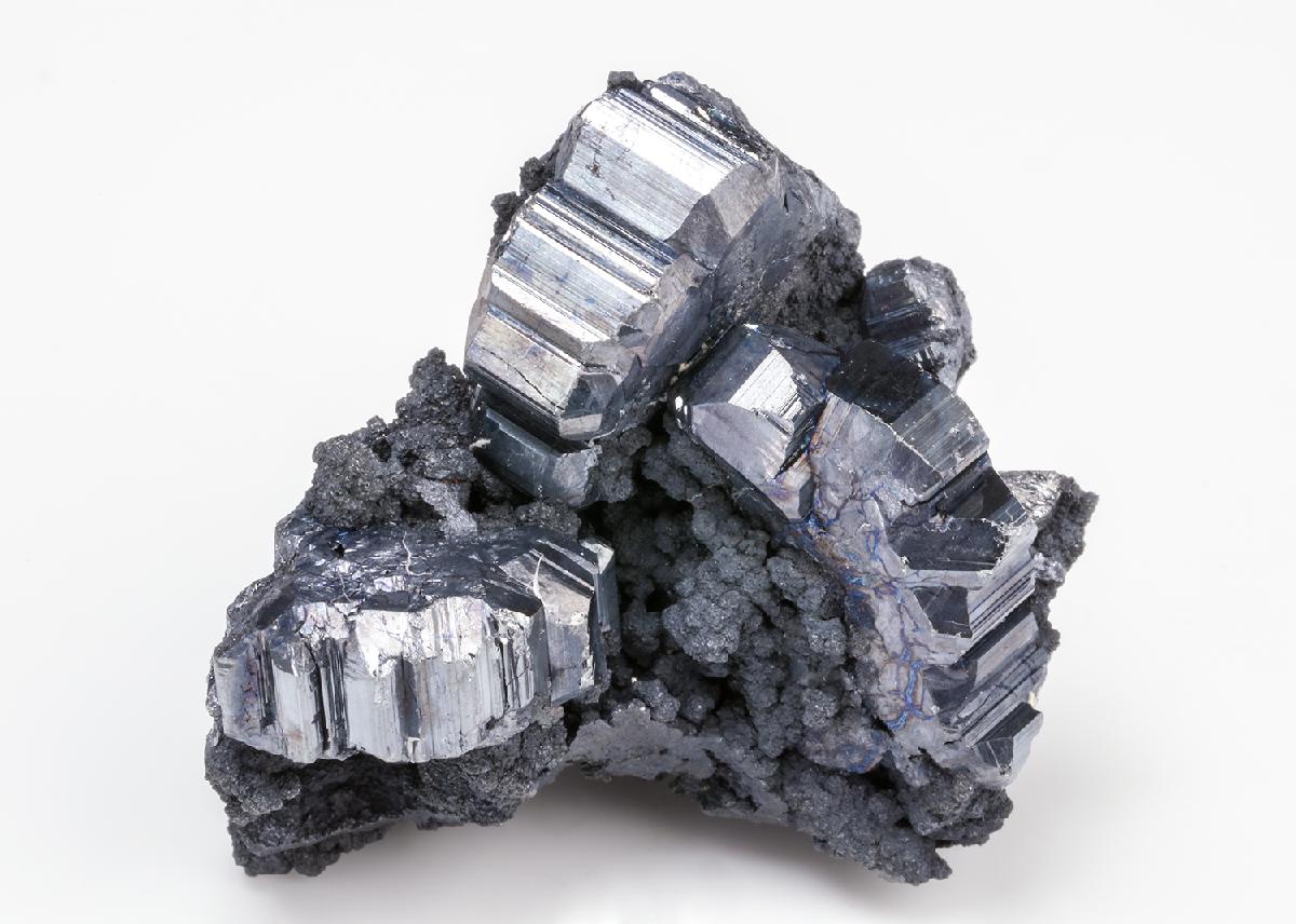 CC19987 specimen image