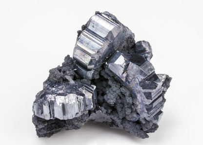 CC19987 specimen image
