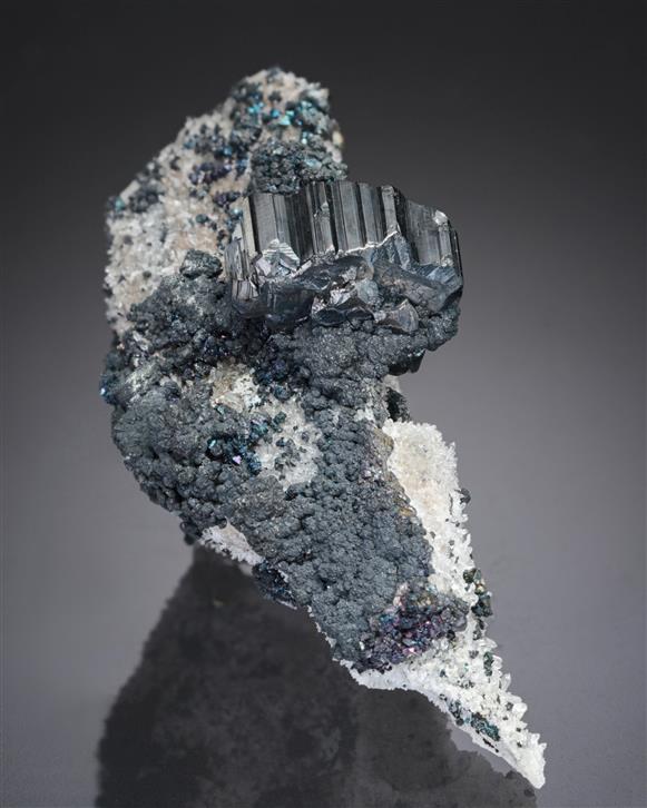 CC20000 specimen image