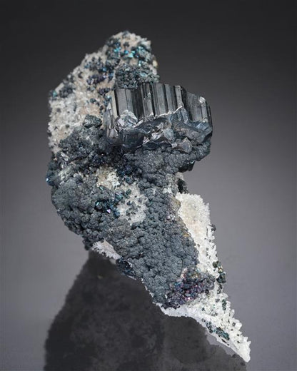 CC20000 specimen image