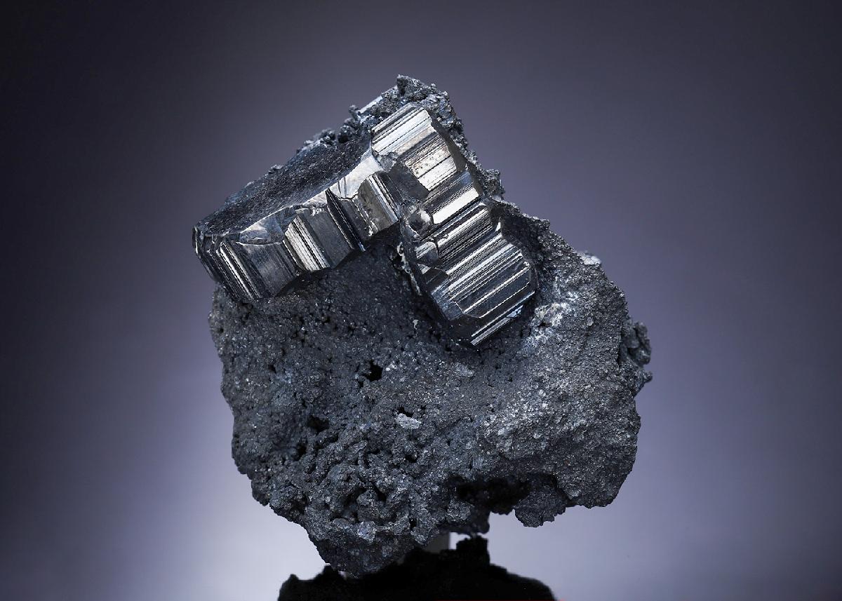 CC20013 specimen image