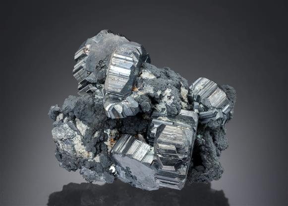 CC20014 specimen image
