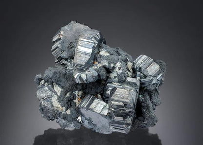 CC20014 specimen image